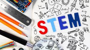 stem